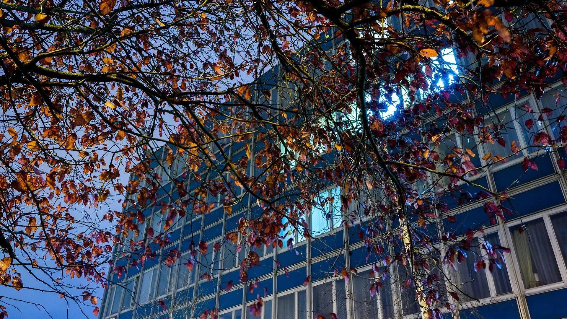 Dom Turystyczny Indigo Hostel Krakow